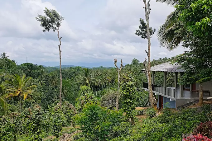 Aarunya Nature Resort and Spa